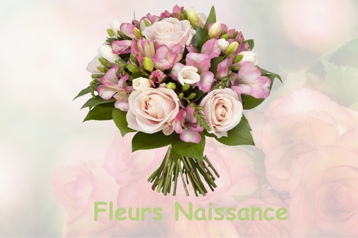 fleurs naissance SAINT-CAPRAIS-DE-BORDEAUX